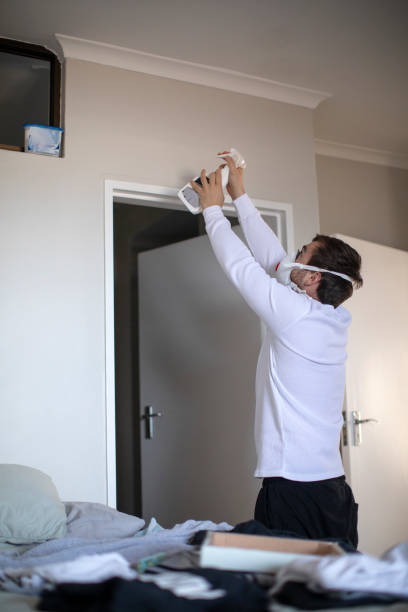 Best Water Damage & Mold Remediation  in Sylacauga, AL